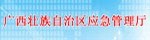 廣西壯族自治區(qū)應(yīng)急管理廳